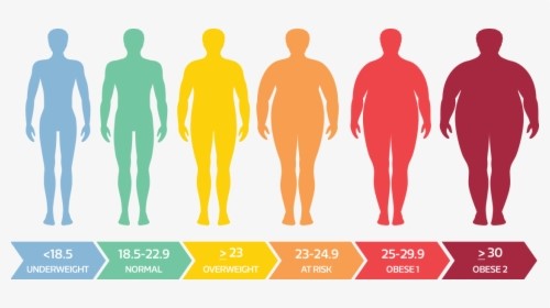 Men's BMI.jpg